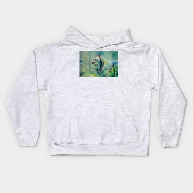 African moony swimming in glass fish tank Kids Hoodie by lena-maximova